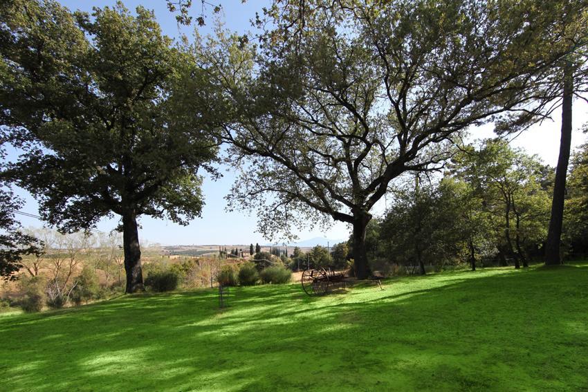 Agriturismo Torrenieri Da Alessandro Pienza Dış mekan fotoğraf